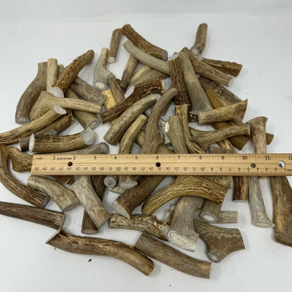 Lot Of 3 Real Medium Whitetail Deer Antler Dog Chews For Medium Sized Dogs